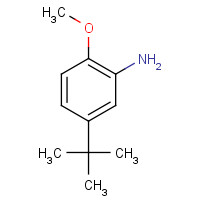 3535-88-4 5-tert-Butyl-2-methoxyaniline chemical structure