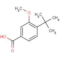 79822-46-1 3-Methoxy-4-tert-butylbenzoic acid chemical structure