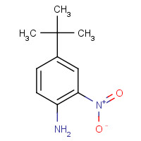 6310-19-6 4-(tert-Butyl)-2-nitroaniline chemical structure