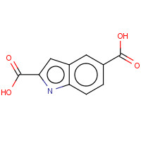 117140-77-9 Indole-2,5-dicarboxylic acid chemical structure
