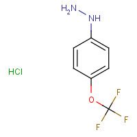 133115-72-7 4-(Trifluoromethoxy)phenylhydrazine hydrochloride chemical structure