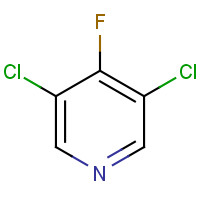 916791-62-3 3,5-DICHLORO-4-FLUOROPYRIDINE chemical structure