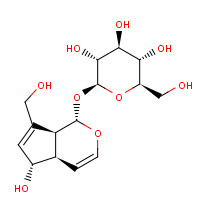 479-98-1 Aucubin chemical structure