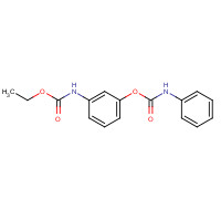 13684-56-5 [3-[[(Phenylamino)carbonyl]oxy]phenyl]carbamic acid ethyl ester chemical structure