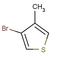 30318-99-1 3-BROMO-4-METHYLTHIOPHENE chemical structure