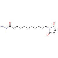 359436-62-7 11-Maleimidoundecanoic Acid Hydrazide chemical structure