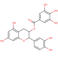 1257-08-5 (-)-Epicatechin gallate chemical structure