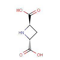 161596-63-0 (2R,4R)-(+)-AZETIDINE-2,4-DICARBOXYLIC ACID chemical structure