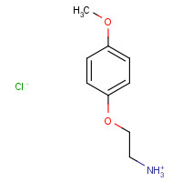 98959-77-4 [2-(4-METHOXYPHENOXY)ETHYL]AMMONIUM CHLORIDE chemical structure