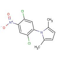 302901-02-6 1-(2,5-DICHLORO-4-NITROPHENYL)-2,5-DIMETHYL-1H-PYRROLE chemical structure