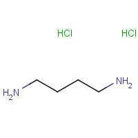 333-93-7 1,4-Diaminobutane dihydrochloride chemical structure