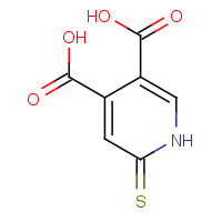 219652-62-7 6-MERCAPTOPYRIDINE-3,4-DICARBOXYLIC ACID chemical structure