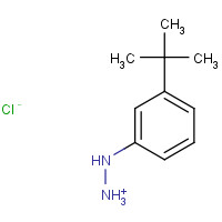306937-27-9 1-[3-(TERT-BUTYL)PHENYL]HYDRAZINE HYDROCHLORIDE chemical structure