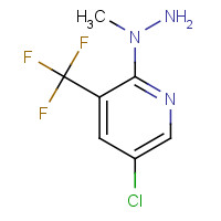 175205-60-4 1-[5-CHLORO-3-(TRIFLUOROMETHYL)-2-PYRIDYL]-1-METHYLHYDRAZINE chemical structure