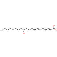54397-83-1 12(S)-HYDROXYEICOSATETRAENOIC ACID chemical structure