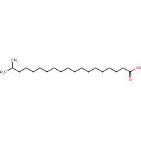 6250-72-2 18-METHYLNONADECANOIC ACID chemical structure