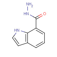 321309-24-4 1H-INDOLE-7-CARBOHYDRAZIDE chemical structure