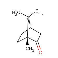 464-49-3 D-CAMPHOR chemical structure