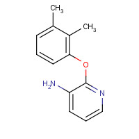 175136-23-9 2-(2,3-DIMETHYLPHENOXY)PYRIDIN-3-AMINE chemical structure