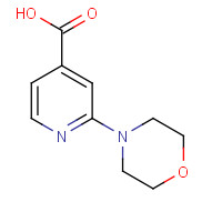 295349-64-3 2-MORPHOLIN-4-YL-ISONICOTINIC ACID chemical structure