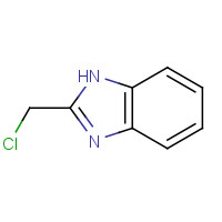 4857-04-9 2-Chloromethylbenzimidazole chemical structure