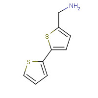 4380-96-5 2,2'-BITHIOPHENE-5-METHYLAMINE chemical structure