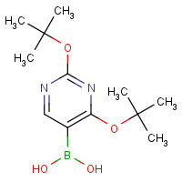 306935-93-3 2,4-DITERT-BUTOXYPYRIMIDIN-5-YLBORONIC ACID chemical structure