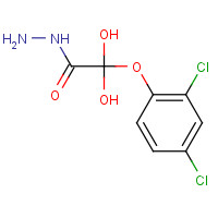 28236-62-6 2,4-DICHLOROPHENOXYACETIC ACID HYDRAZIDE chemical structure