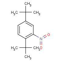3463-35-2 2,5-DI-TERT-BUTYLNITROBENZENE chemical structure