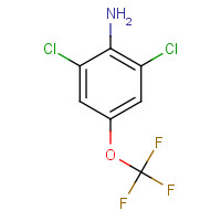 99479-66-0 2,6-DICHLORO-4-(TRIFLUOROMETHOXY)ANILINE chemical structure