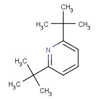 585-48-8 2,6-DI-TERT-BUTYLPYRIDINE chemical structure