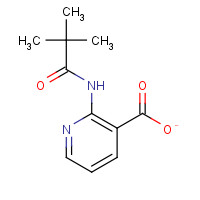 125867-25-6 2-(2,2-DIMETHYL-PROPIONYLAMINO)-NICOTINIC ACID chemical structure