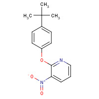 246236-65-7 2-[4-(TERT-BUTYL)PHENOXY]-3-NITROPYRIDINE chemical structure
