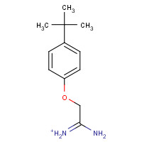 175277-47-1 2-[4-(TERT-BUTYL)PHENOXY]ETHANIMIDAMIDE HYDROCHLORIDE chemical structure