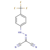7089-17-0 2-(2-[4-(TRIFLUOROMETHYL)PHENYL]HYDRAZONO)MALONONITRILE chemical structure