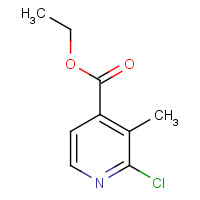 301666-92-2 2-CHLORO-3-METHYLPYRIDINE-4-CARBOXYLIC ACID ETHYL ESTER chemical structure