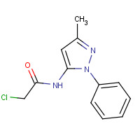 300727-15-5 2-CHLORO-N-(3-METHYL-1-PHENYL-1H-PYRAZOL-5-YL)ACETAMIDE chemical structure
