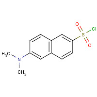60151-27-1 2-DIMETHYLAMINONAPHTHALENE-6-SULFONYL CHLORIDE chemical structure