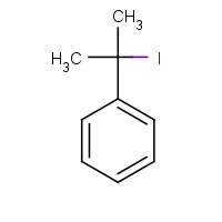 19099-54-8 2-IODOISOPROPYLBENZENE chemical structure
