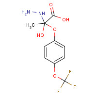 175204-37-2 2-METHYL-2-[4-(TRIFLUOROMETHOXY)PHENOXY]ACETIC ACID HYDRAZIDE chemical structure