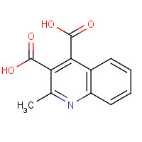 88344-65-4 2-METHYLQUINOLINE-3,4-DICARBOXYLIC ACID chemical structure