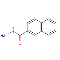 39627-84-4 2-NAPHTHHYDRAZIDE chemical structure