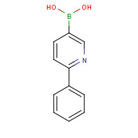 155079-10-0 2-PHENYLPYRIDINE-5-BORONIC ACID chemical structure
