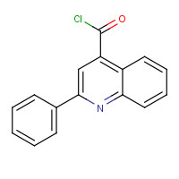 59661-86-8 2-Phenylquinoline-4-carboxylicacidchloride chemical structure