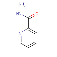 1452-63-7 2-PICOLINYL HYDRAZIDE chemical structure