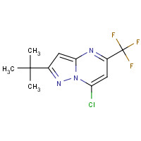 175203-38-0 2-TERT-BUTYL-7-CHLORO-5-(TRIFLUOROMETHYL)PYRAZOLO[1,5-A]PYRIMIDINE chemical structure