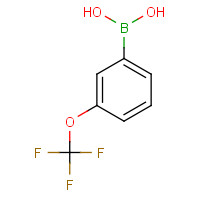179113-90-7 3-Trifluoromethoxyphenylboronic acid chemical structure