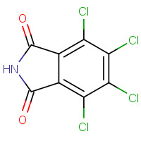 1571-13-7 Tetrachlorophthalimide chemical structure