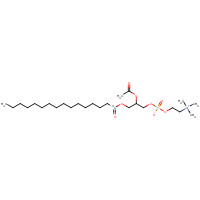 112015-19-7 3,5,9-Trioxa-4-phosphapentacosan-1-aminium-10-14C,7-(acetyloxy)-4-hydroxy-N,N,N-trimethyl-10-oxo-,innersalt,4-oxide] chemical structure