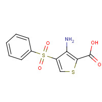 175201-59-9 3-AMINO-4-(PHENYLSULFONYL)THIOPHENE-2-CARBOXYLIC ACID chemical structure